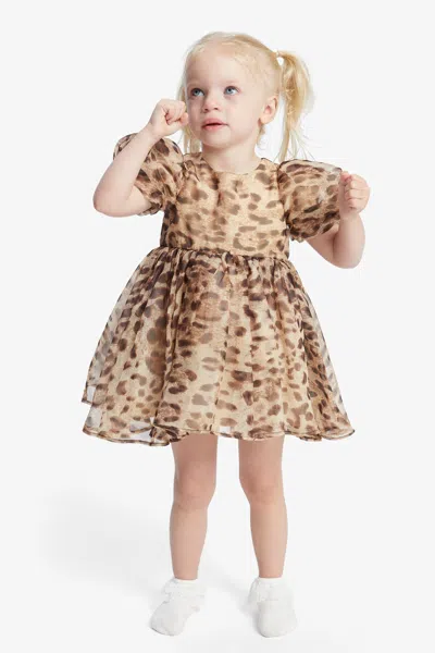 Bardot Junior Baby Girl Juliet Mini Dress In B Leopard