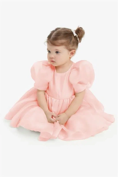 Bardot Junior Baby Girl Juliet Organza Mini Dress In Bliss Pink