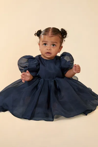 Bardot Junior Baby Girl Juliet Organza Mini Dress In Navy