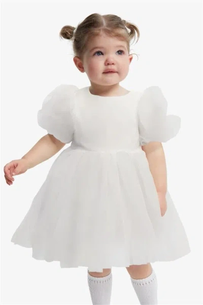 Bardot Junior Baby Girl Juliet Organza Mini Dress In Orchid Wht