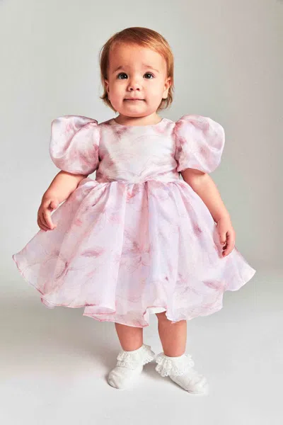 Bardot Junior Baby Girl Juliet Organza Mini Dress In Soft Pink