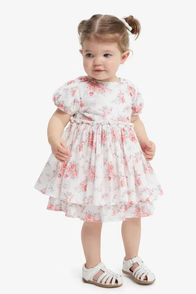 Bardot Junior Baby Girl Lani Floral Mini Dress In Wild Rose
