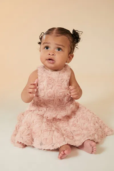 Bardot Junior Baby Girl Lizelle Rosette Dress In Dusty Rose