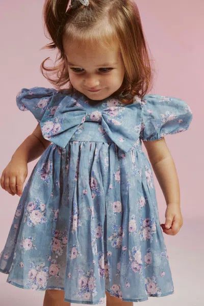 Bardot Junior Baby Girl Mercer Ditsy Mini Dress In Blue Florl