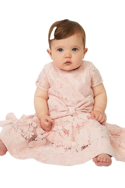 Bardot Junior Baby Girl Mirela Lace Bow Dress In Pink