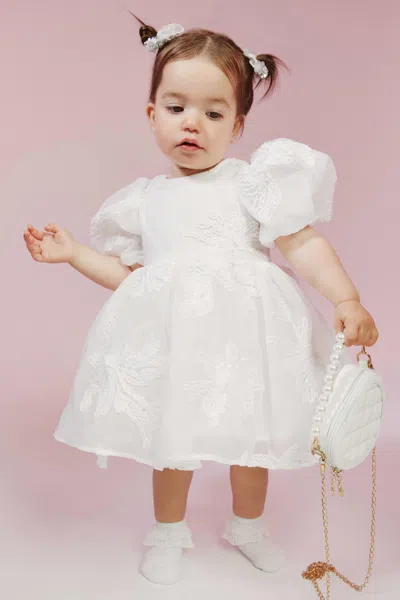 Bardot Junior Baby Girl Nella Chiffon Mini Dress In Orchid Wht