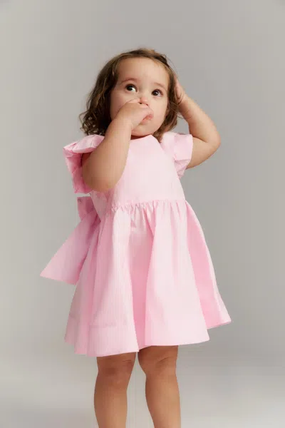 Bardot Junior Baby Lanai Poplin Dress In Pink