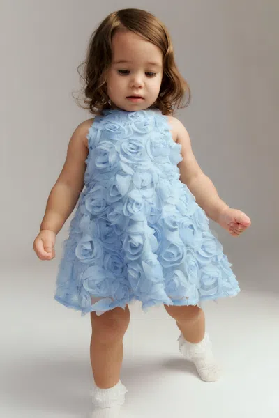 Bardot Junior Baby Pia Rosette Dress In Blue