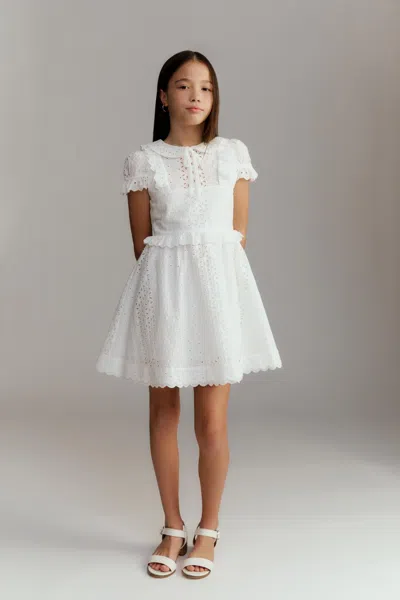 Bardot Junior Kids' Girls Ava Embroidered Dress In White