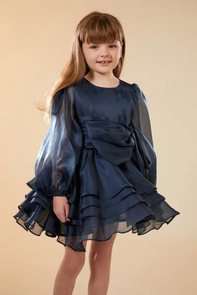 Bardot Junior Kids' Girls Enya Organza Mini Dress In Navy
