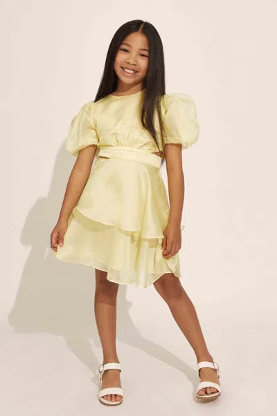 Bardot Junior Kids' Girls Enya Organza Mini Dress In Sunshine
