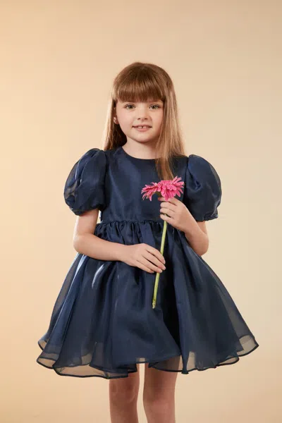 Bardot Junior Kids' Girls Juliet Organza Mini Dress In Navy