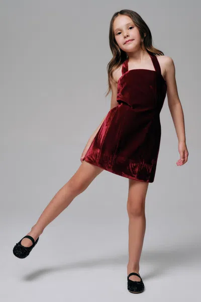 Bardot Junior Kids' Girls Nevelle Velvet Mini Dress In Burgundy