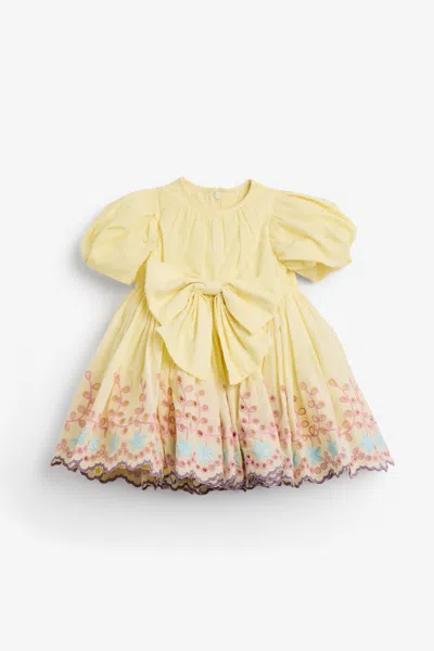 Bardot Junior Babies' Jade Embroidered Mini Dress In Multi
