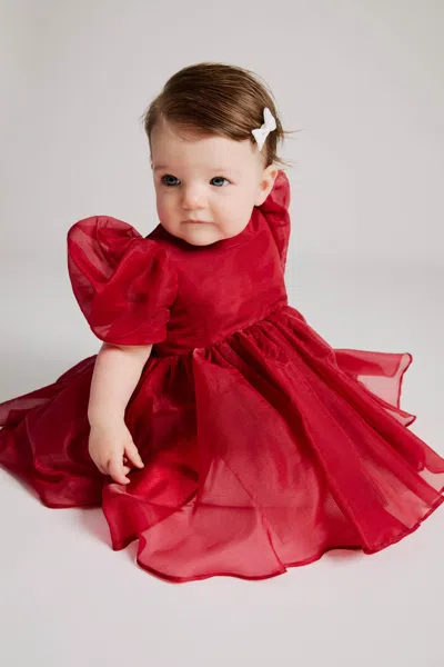 Bardot Junior Babies' Juliet Organza Mini Dress In Burgundy