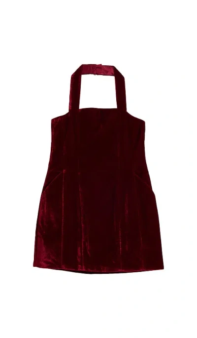 Bardot Junior Nevelle Velvet Mini Dress In Burgundy