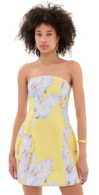 Bardot Karoline Hour Glass Mini Dress Yellow Floral