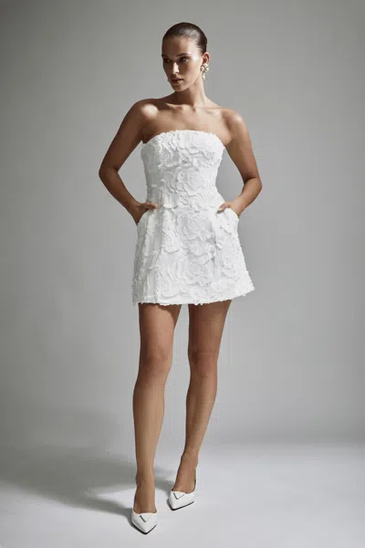 Bardot Karoline Lace-overlay Strapless Mini Dress In White