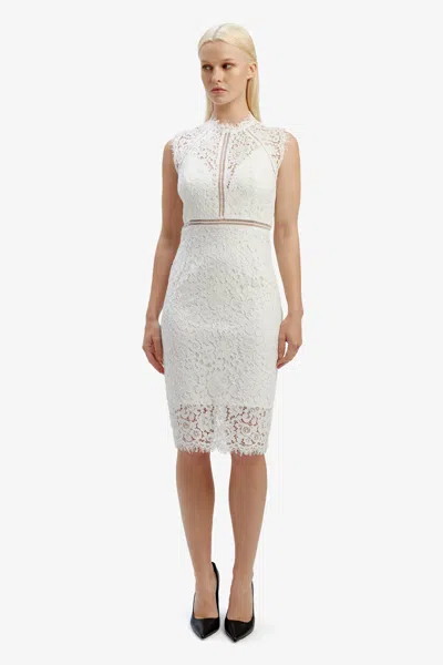 Bardot Lace Panel Dress In Orchid Wht