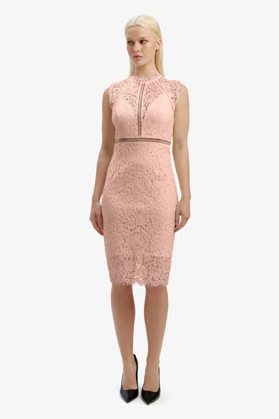 Bardot Lace Panel Dress In Pale Blush