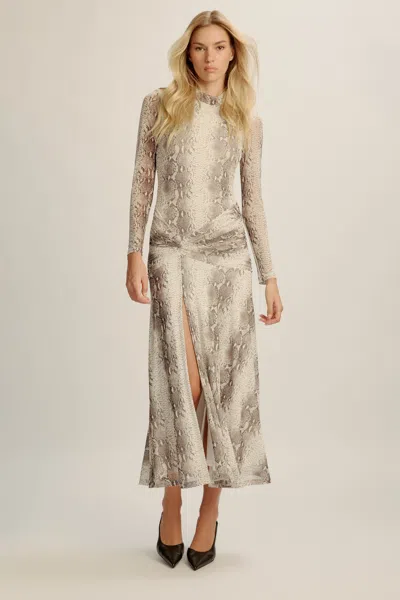 Bardot Lea Printed Mesh Dress In Neutral