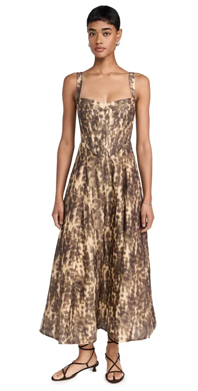 Bardot Lilah Corset Midi Dress Leopard In Brown