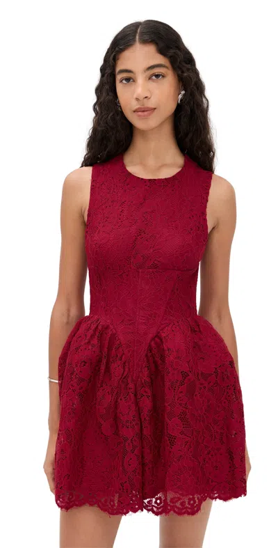 Bardot Luisa Lace Mini Dress Burgundy In Red