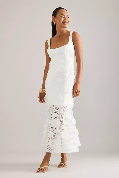 Bardot Marico Lace Midi Dress In White