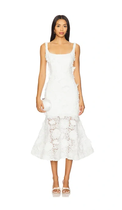 Bardot Marico Lace Midi Dress