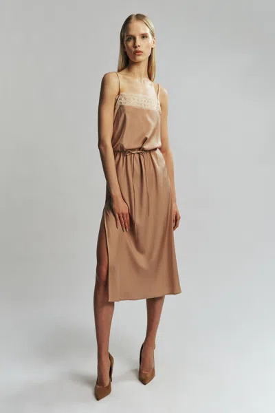 Bardot Olina Lace Satin Midi Dress In Brown