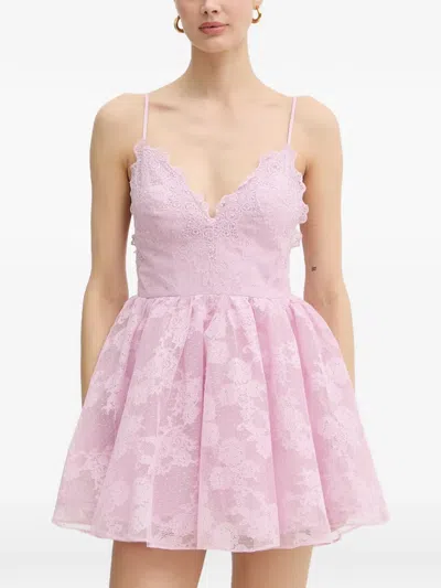 Bardot Orelia Lace-overlaid Flared Mini Dress In Pink