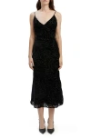 Bardot Paradiso Burnout Velvet Dress In Black
