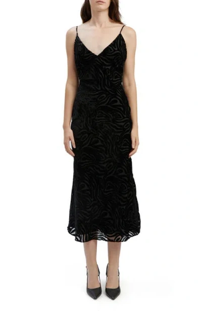 Bardot Paradiso Burnout Velvet Dress In Black