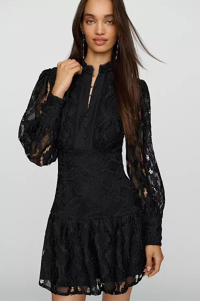 Bardot Remy Lace Mini Dress In Black