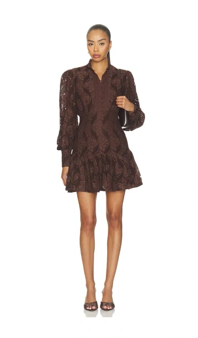 Bardot Remy Long Sleeve Lace Minidress In Brown