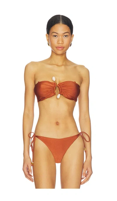 Bardot Rymona Bandeau Bikini Top In Brown