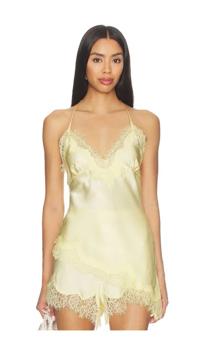 Bardot Silvio Halter Camisole Top In Yellow