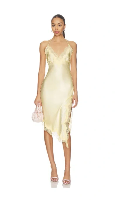 Bardot Silvio Halter Mini Dress In Yellow