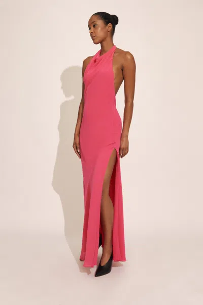 Bardot Similina Halter Maxi Dress In Hot Pink
