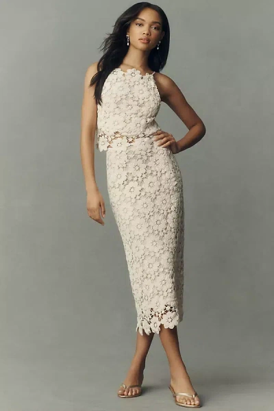 Bardot Veneta Cotton Crochet Midi Skirt In Sand