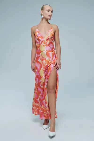 Bardot Yve Halter Printed Maxi Dress In Multi