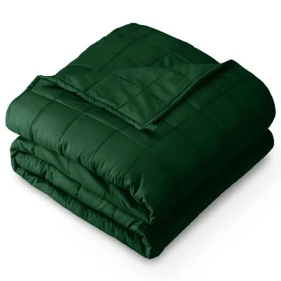 Bare Home Cotton Weighted Blanket In Green
