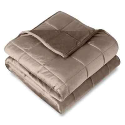 Bare Home Minky Fleece Weighted Blanket In Brown