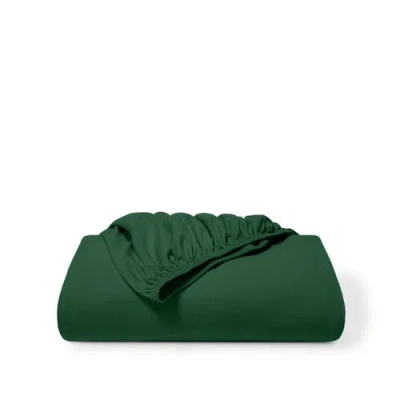 Bare Home Organic Cotton Jersey Fitted Sheet In Green
