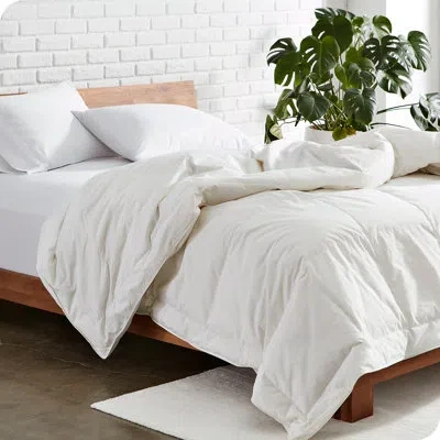 Bare Home Premium Down Comforter - 100% Cotton Cover - Corner Loops - All Season Warmth Bedding In White
