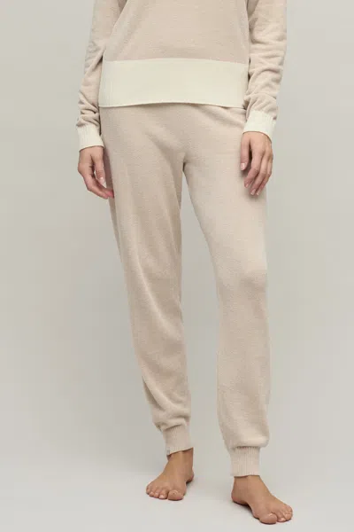 Barefoot Dreams Cozychic Ultra Lite® Color Block Jogger In Stone Multi