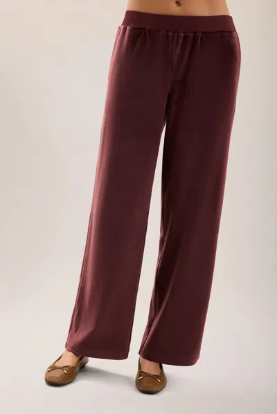 Barefoot Dreams Stretch Velvet Wide Leg Pant In Burgundy