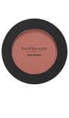 Bareminerals Gen Nude Powder Blush In On The Mauve