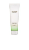Bareminerals Skinlongevity Plush Gentle Foaming Cleanser