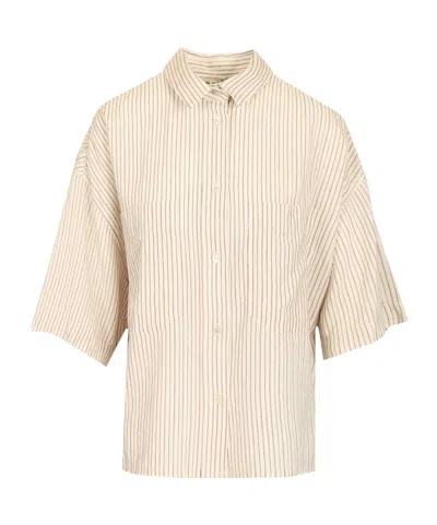 Barena Venezia Barena Striped Shirt In Pink